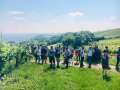 Tiroler Weinwandern in Wien