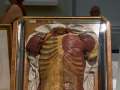 Josephinum_Medizinhistorisches Museum Wien