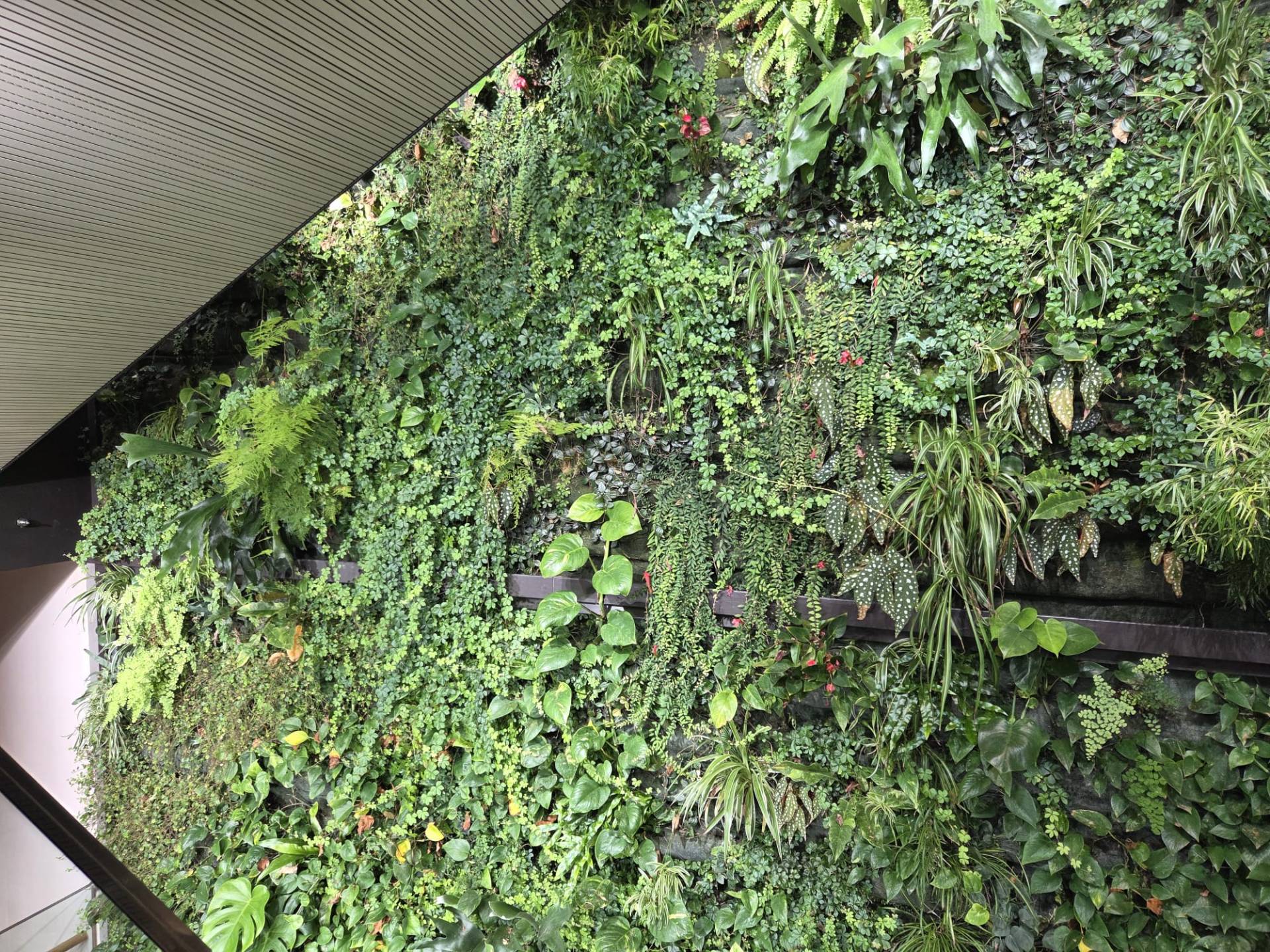 3dd5f067-f3d0-4772-8064-ea2215ebfccd